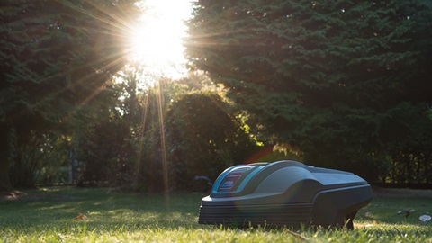 tondeuse robot en soleil